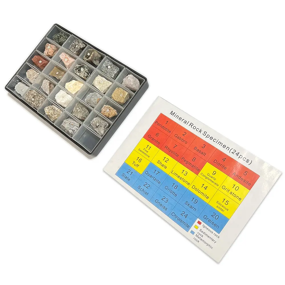 NERS Geography Educational Equipment Minerals of 3 Rock Types 24pcs/set Rock Samples