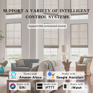 <span class=keywords><strong>Stores</strong></span> d'ombrage romains de style <span class=keywords><strong>japonais</strong></span> modernes <span class=keywords><strong>stores</strong></span> à rouleau intégrés fenêtres françaises tissu bois papier matériaux techniques tissées maison - Product Image 3