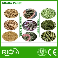 RICHI-le meilleur fabricant d'équipement de granule de l'usine de machines de granule de l'alimentation 10 T/H dans le Henan