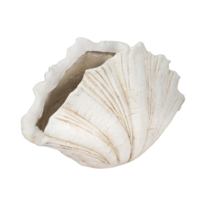 Statuetta decorativa a forma di conchiglia, scultura in resina testurizzata per la casa, il bagno, l'ufficio, il soggiorno. - Product Image 3