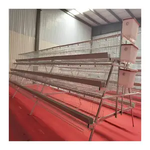 Poultry Farm Project H Type Battery Small Layer Cage with 50000 Birds in Chicken House