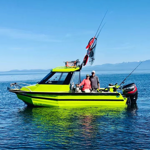 Sea King 20 pieds Easy Craft moteur hors-bord vitesse cabine bateaux de pêche en aluminium à vendre Australie - Product Image 3