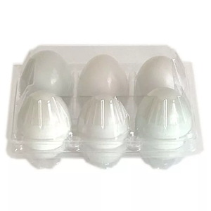 6 Compartment Eco-friendly Clamshell Plastic Egg Tray