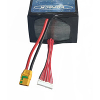 YDPACK NS172-1220 Высокая энергетическая плотность 320 Вт·ч/кг, 12S20Ач
