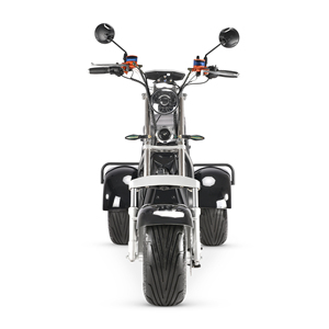 Entrepôt aux Pays-Bas, <span class=keywords><strong>moto</strong></span> électrique à trois <span class=keywords><strong>roues</strong></span> avec moteur double 4000 W (2000 W chacun), batterie 55 Ah, oscillation, avec pneu tout-terrain en option - Product Image 2