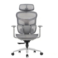 Chaise de bureau de direction de luxe réglable avec dossier, design moderne, ergonomique, pivotante, accoudoirs 4D, multifonction, soutien lombaire, en maille, pour salle à manger