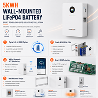 Batterie murale intelligente Bluetooth WiFi BMS 48V 100Ah 5kWh, stock UE, pour la maison, sauvegarde solaire domestique, pack de batteries LiFePO4