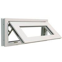 NUOXIN Fenêtre en verre insonorisée pour maison Grande taille Noir mat Upvc Double accrochage Impact ouragan Fenêtres noires
