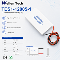 Plaques thermoélectriques commerciales TES1-12005 40x20x3,5 mm 14,55 V 42 W pour système de refroidissement de machine à café