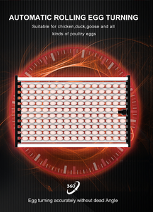 Wonegg Điều Khiển Từ Xa 3000 Gà Chim Cút Vịt Trứng Lồng Ấp <span class=keywords><strong>Hatchery</strong></span> Với Công Suất 3500 Trứng - Product Image 2