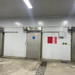 Professional Walk In Cooler Refrigeration Blast Freezer Cold Storage Room