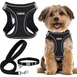 Premium Hammadde Kullanılarak Üretilmiş Köpekler ve Evcil Hayvanlar İçin Açık Hava Ekipmanları, Lüks Tasarım Özel Klasik Kedi Köpek Tasması ve Tasma Seti - Product Image 6