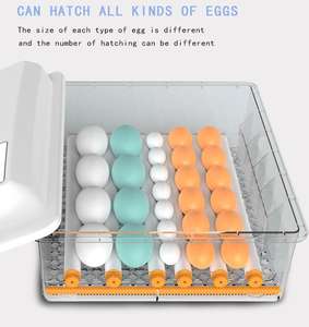 Diskon otomatis 36 buah inkubator telur ayam bebek Turki angsa - Product Image 5