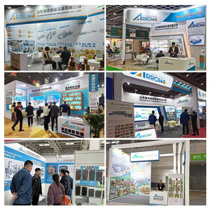 Ligne de production automatique d'aliments pour chiens extrudés avec moteur et boîte de vitesses haute puissance multi-tension à commande PLC - Product Image 6