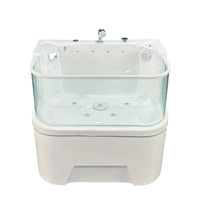 Baignoire de toilettage pour animaux de compagnie autoportante en verre enveloppant avec massage à bulles et LED pour salon d'esthétique canin