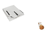 Cage pour cochon d'Inde C&C Standard Eco-Friendly, taille 2x3, construction PP/métal/plastique, fermeture à bouton, emballage en boîte, utilisation en intérieur