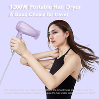 Sèche-cheveux professionnel à grande vitesse avec ions négatifs Diffuseur à séchage rapide à faible bruit Moteur à courant alternatif électrique pour usage domestique