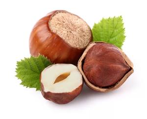 Extrait de marron d'Inde de qualité supérieure, 20 % d'ascine, extrait standardisé de graines d'Aesculus hippocastanum - Product Image 2