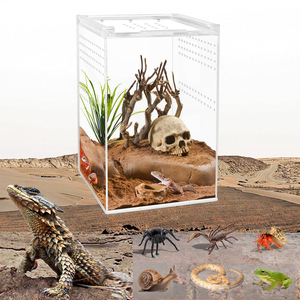 Reptile <strong>Terrarium</strong> Acrylic Enclosure Reptile Cage Breathable <strong>Plastic</strong> Breeding Box for Insect Lizard Spider - Product Image 1