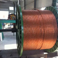Cable de Tierra de Cobre Desnudo de 25 mm para Subestaciones, Granjas Solares y Sistemas de Protección contra Rayos