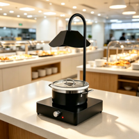 Réchaud électrique commercial en acier inoxydable noir, lampe chauffante pour aliments légers, pour hôtel, restaurant, avec pot à nourriture