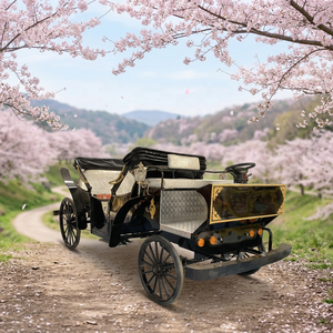 Chariot de tourisme électrique noir rétro élégant, 6 places, chariot de mariage de luxe de style européen - Product Image 1
