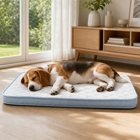 Waschbare Silikon-Gepolsterte Kühlende Hundematratze mit Blauer Einfassung Weich & Reisefreundlich für Haustier-Schlaf