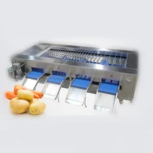 Otomatik sebze ağırlık sınıflandırıcı Meyve sınıflandırma Greyder Makinesi meyve sıralama makinesi mango patates sıralayıcı makine