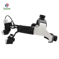 Loupe dentaire 3,5X420mm avec éclairage frontal, loupe médicale de laboratoire, loupe binoculaire dentaire, loupe chirurgicale, éclairage frontal 5W