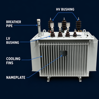 Transformador de Distribución Trifásico de 315KVA, 10kV/0.4kV, Sumergido en Aceite, de Rendimiento Estable, Marca Wanbo-310, Directo de Fábrica