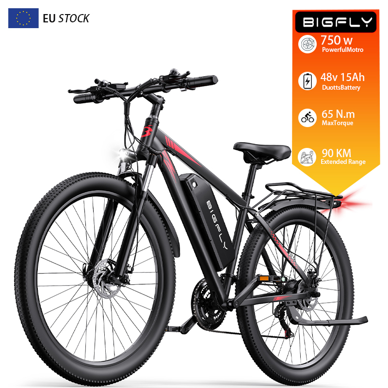 48V 15AH Bigfly C29 Ultra Electric Mountain Bike - Eco-Friendly 21