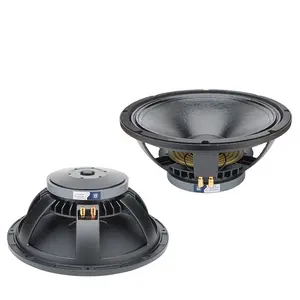 15Inch Daya Tinggi 880Mm Ferrite Magnet Speaker Woofer untuk Besar Tahap Audio 15BC-8