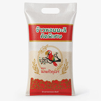Sac d'emballage de riz premium 10 kg avec poignée en plastique, qualité alimentaire, imprimé flexo HD, sac tissé en PP laminé BOPP, direct usine