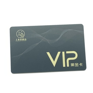 Tarjetas de Visita de PVC para Guías Turísticos, Marca de Servicios de Viajes - Product Image 2