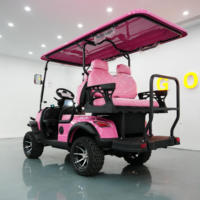 Voiturette de tourisme électrique 4 places 60V au lithium avec GPS, guide audio, pour visites de ville et golf, autonomie de 70-90 km et écran 7.10.1
