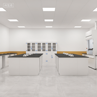 Ensemble de mobilier de laboratoire scolaire : Postes de travail, stations de rangement et stations pédagogiques tout en acier pour les nouvelles salles de sciences