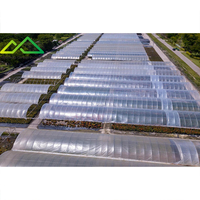 Multi-span commerciële folie-kassen uitgerust met schaduwsystemen, irrigatiesystemen, ventilatiesystemen en temperatuurregeling.