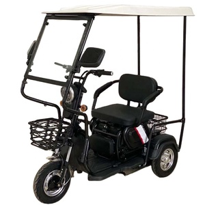 Tricycle électrique à vente chaude 2020, vélo électrique puissant à <span class=keywords><strong>3</strong></span> <span class=keywords><strong>roues</strong></span>, tricycles électriques <span class=keywords><strong>pour</strong></span> adultes / handicapés - Product Image 4