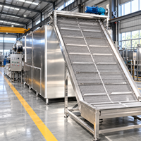Industriële fruit- en groentedroger met continu transportband, 20 ton per dag, voor grote voedingsmiddelenproductiebedrijven