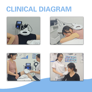 Appareil de physiothérapie pour animaux Skalet pour soulager la douleur, facile à utiliser avec interface animale pour débutants, appareil de physiothérapie - Product Image 2