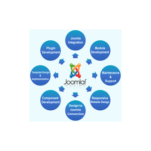 Professional WordPress Woocommerce GPS Tracking <b>Software</b> HYBRID App Development MAC OS Stock Comprehensive Web Design for Retail - Product Image 1