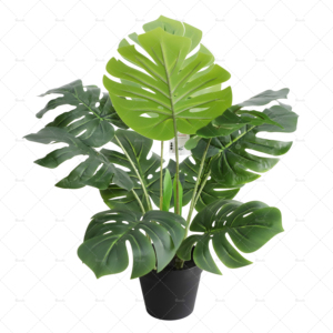 ต้นมอนสเตราเทียมทนรังสี UV สำหรับปลูกกลางแจ้งโรงงานชีสเทียมแบบสวิสเทียมสำหรับตกแต่งบ้านและเชิงพาณิชย์ขายส่งราคาโรงงาน - Product Image 3