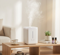 Humidificateur d'air minimaliste 2,5 L en PP sûr pour huiles essentielles, réservoir d'eau détachable, diffuseur d'arômes ultrasonique silencieux, lumière douce