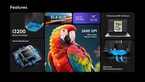 Colorsun X13 DTF Printer 13" A3 Apparel Transfer <b>Printing</b> <b>Machine</b> T-Shirt Direct to Film Printer 24/7 Auto Maintenance - Product Image 2
