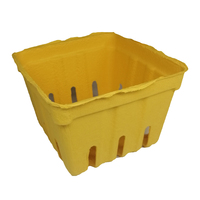 Emballage personnalisé en pâte de papier, moule à sec, biodégradables, ensemble à thé personnalisé, Mini boîte écologique réutilisable doublée