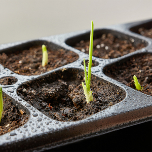 Plantation Réutilisable Grow Room Sprouter Germination Starter 1020 60 72 128 200 288 Cellules Ps Plateaux De Semences De Pépinière En Plastique Pour Jardin - Product Image 4