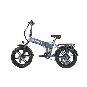 Vendita calda 20 pollici grasso bici elettrica batteria al litio OEM più popolare 250W 36V bici elettrica fat bike