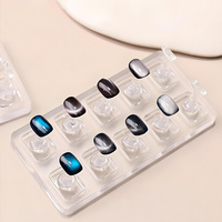 5/10 PCS Présentoir professionnel transparent en acrylique non magnétique pour la pratique des ongles, support réutilisable pour la présentation des faux ongles
