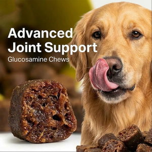 Integratori per Animali Domestici a Marchio Privato, Caramelle Morbide per la Cura delle Articolazioni dei Cani, Vendita all'Ingrosso Diretta dalla Fabbrica, Fornitore Certificato ISO GMP - Product Image 6