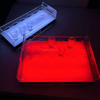 Plateau à verres à shot lumineux LED en acrylique avec logo personnalisé, rechargeable, support de verres à shot lumineux coloré, support de verres à shot